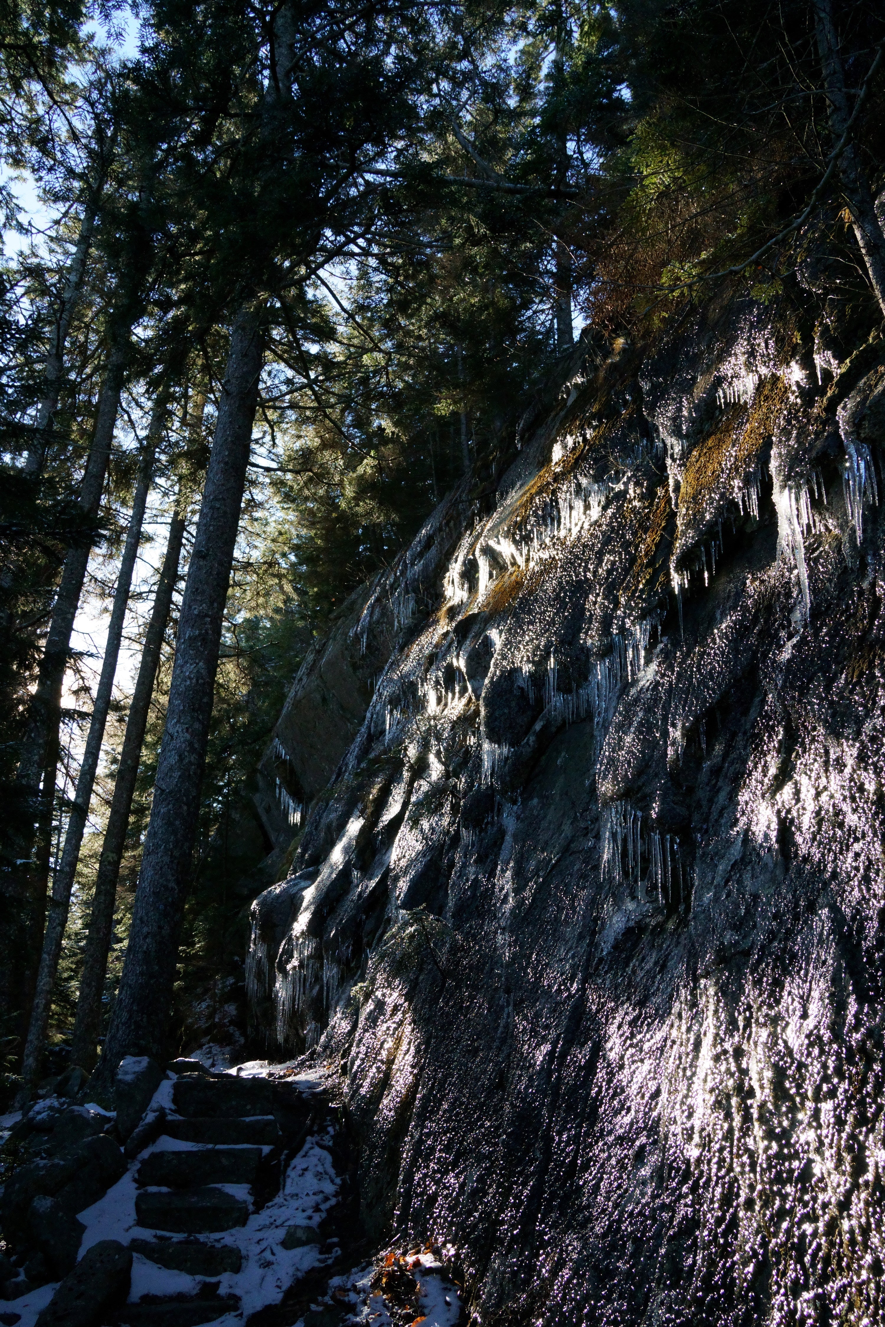 Acadia National Park Hiking Guide | Mansell Mountain Loop Trail