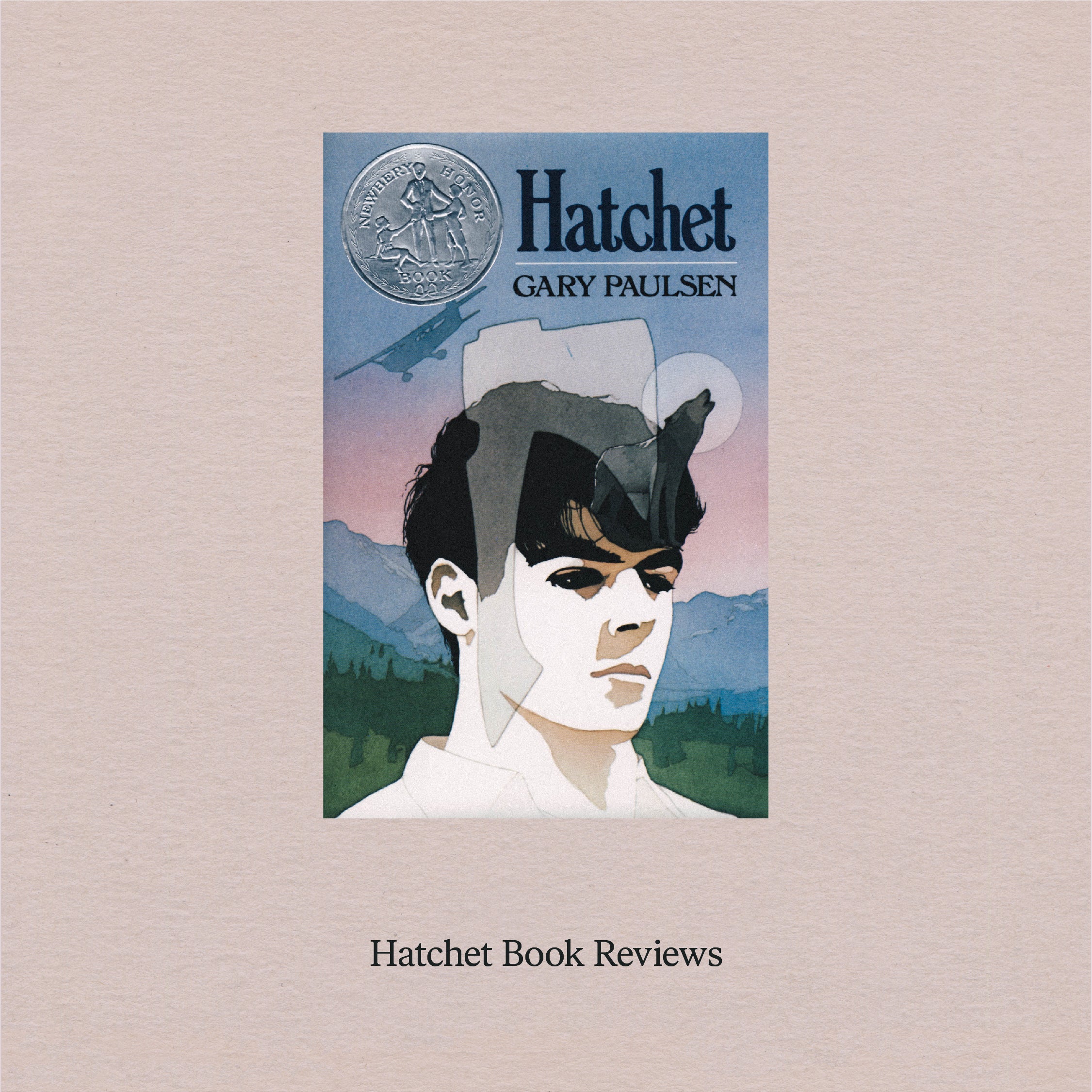 hatchet book brian robeson