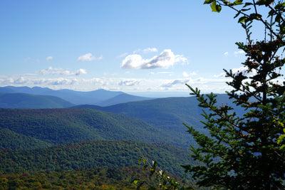 Catskills Hiking Guide | Giant Ledge and Panther Mountain Trail