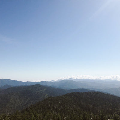 Hatchet Hikes: Farther Afield | Clingmans Dome