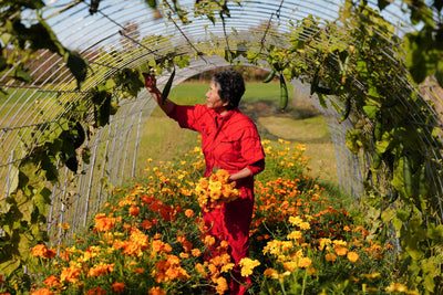 momoglobal flowers on Ikebana, Biodynamics, and Life Between Worlds