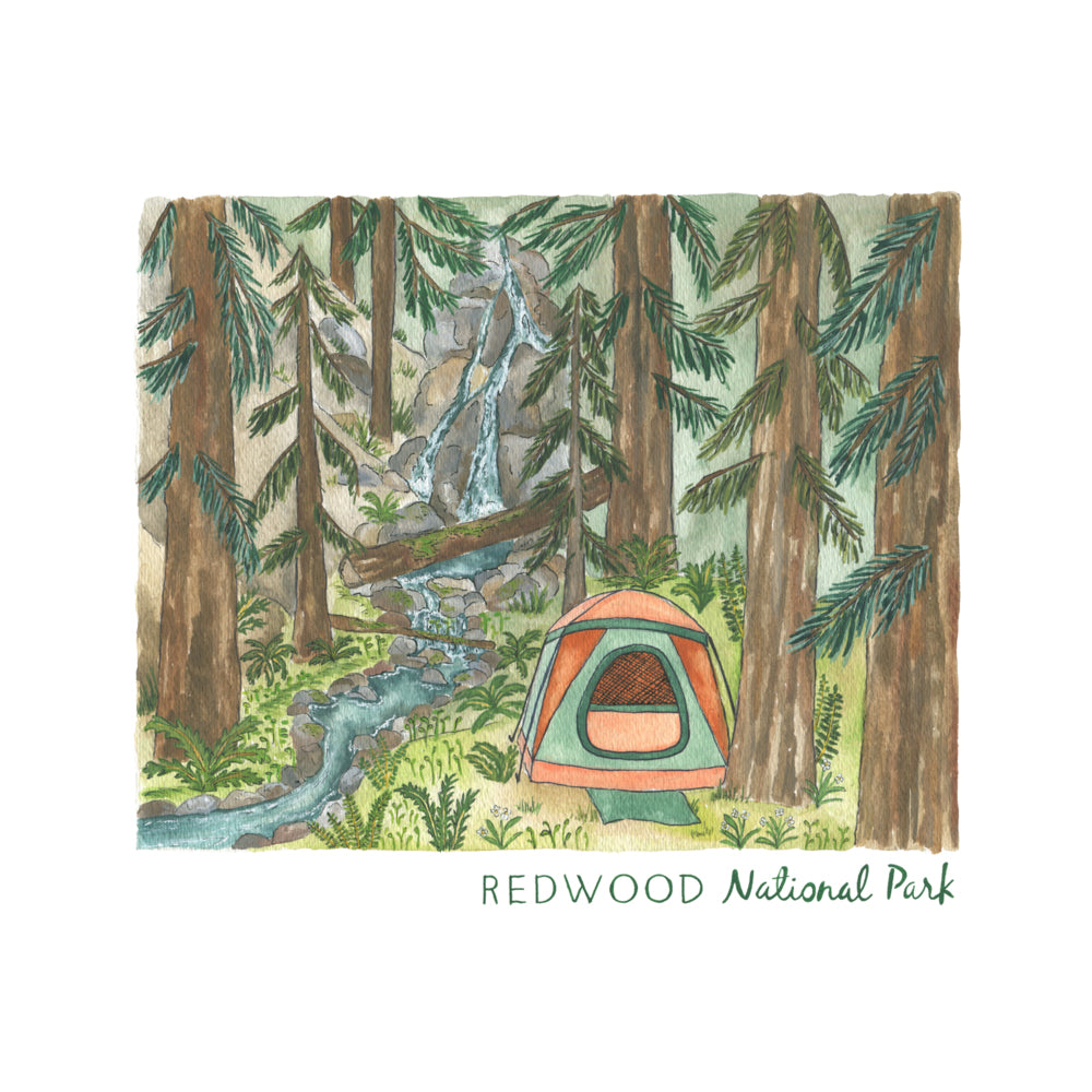 Postcard 'Redwood'