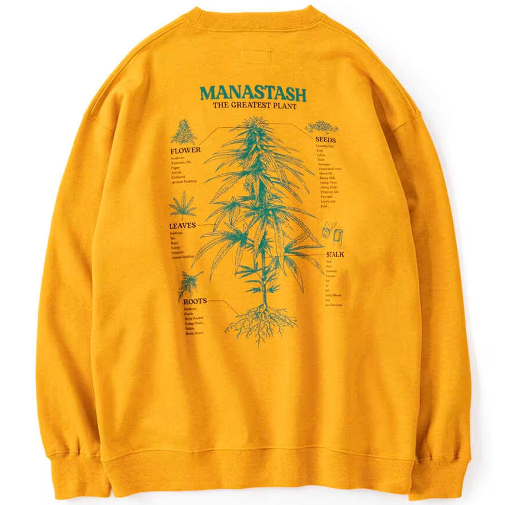 Cascade Sweatshirts TGP 'Mango'